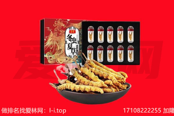 城东虫草回收