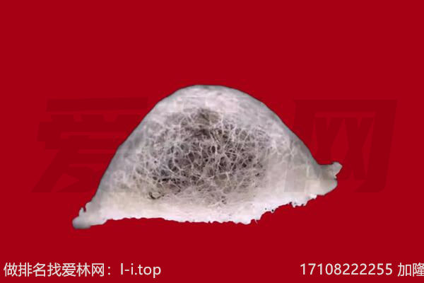 城东海参上门回收